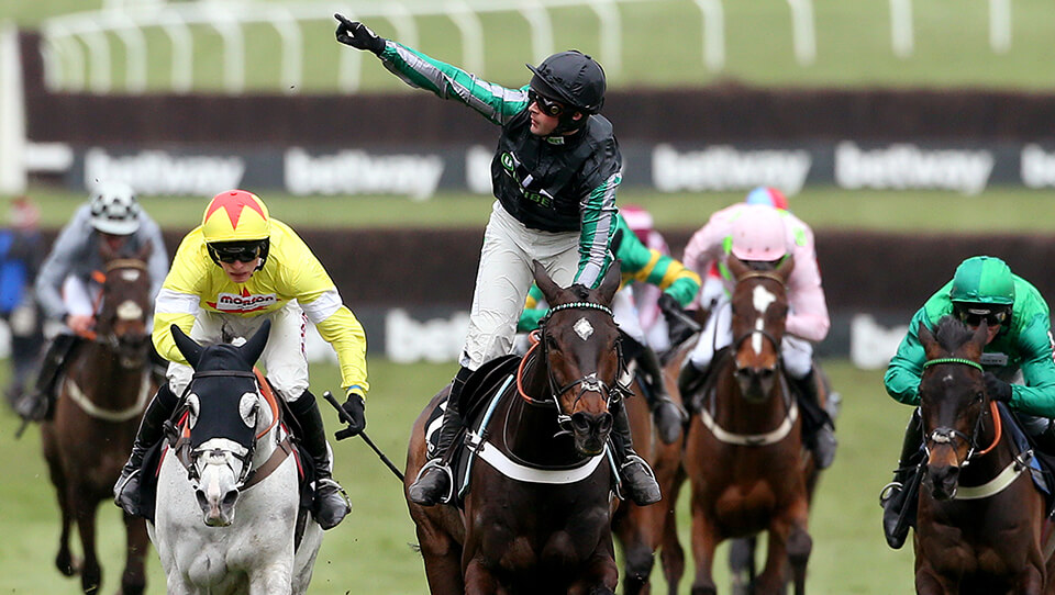 Catena_grid_image_960x542px