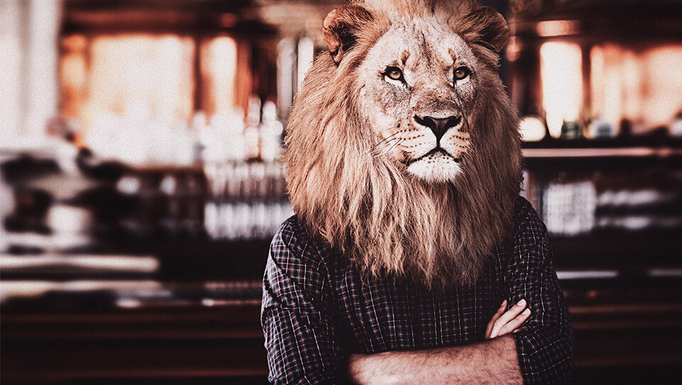 EI_Recruitment_grid_image_960x542px